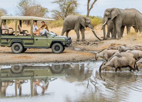 Lake Manyara National Park