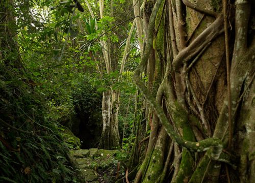 Buhanga Eco Park