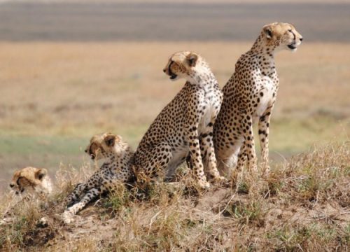 Serengeti National Park