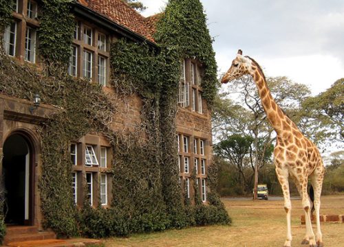 karen Blixen Museum