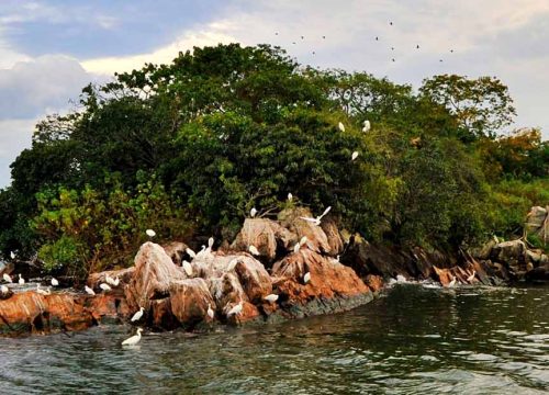 Rubondo Island National Park