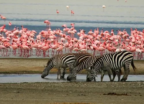 Lake Manyara National Park