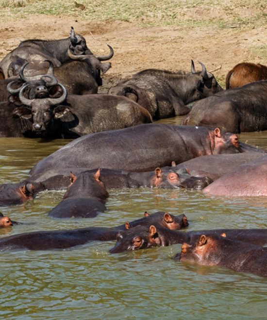 Kazinga Channel