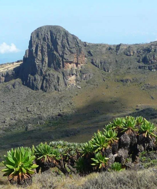 Mountain Elgon National Park