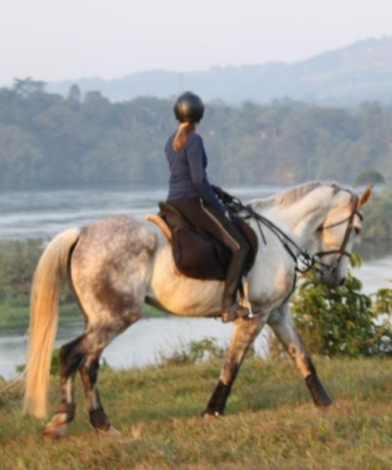 Horse Riding