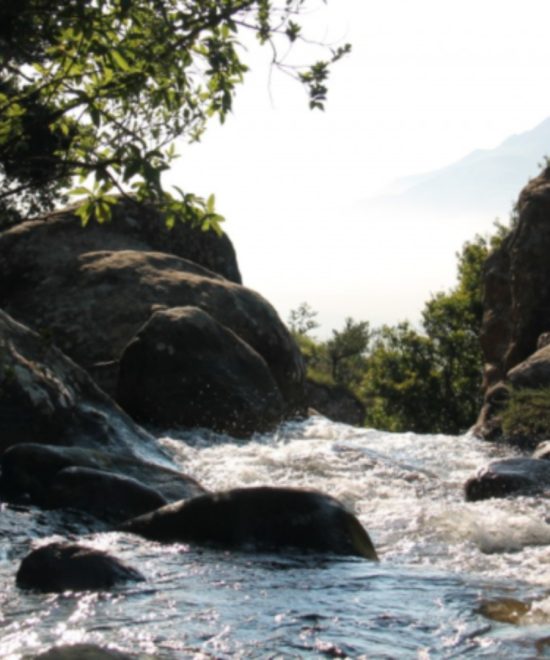 River semuliki National Park