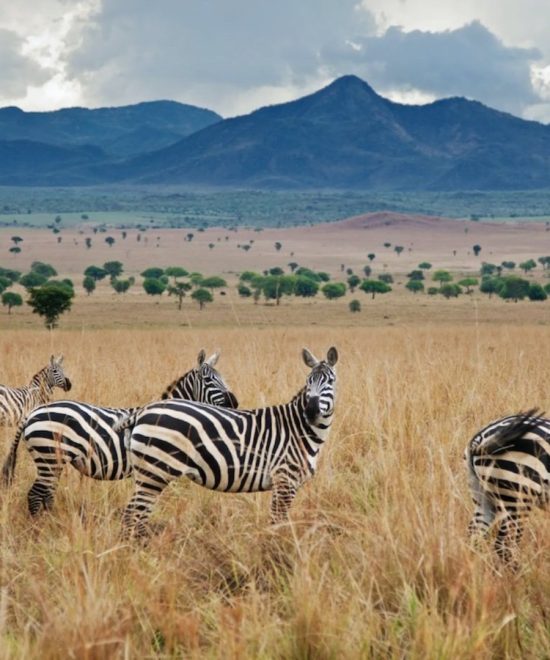 Kidepo Valley National Park